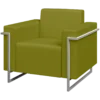 Кожзам Domus kiwi